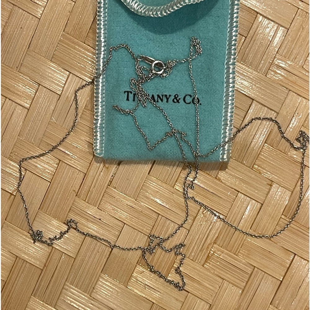 Tiffany & Co LONG Sterling Silver Chain